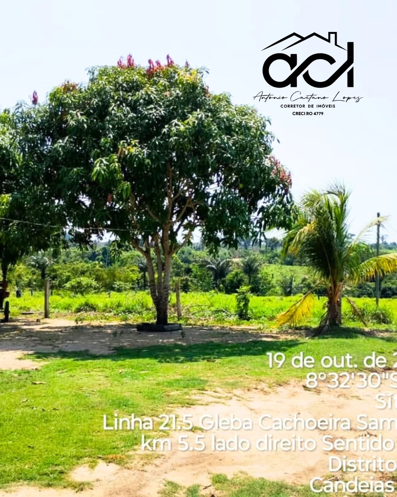 Belíssima Fazenda no Distrito de Vila Samuel – Excelente Oportunidade! - 1